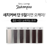 CHEONG DAM STYLE FOREST Black Change Shampoo Natural brown 200ml x 2ea / Korea