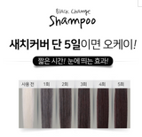 CHEONG DAM STYLE FOREST Black Change Shampoo Dark brown Color 200ml x 2ea / Korea