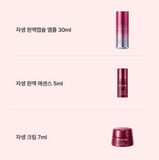 DONGINBI Red Ginseng Daily Defense Capsule Edition Set(Ampoule 30ml + Cream 7m + Essence 5ml) / Korea