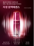 DONGINBI Red Ginseng Daily Defense Essence Ex 30ml Anti-aging / Korea