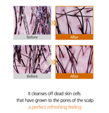 Dr. Drawing Hair Care Kit Set