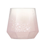 Starbucks korea 2023 Cherry Blossom Gradation Glass 355ml / Korea