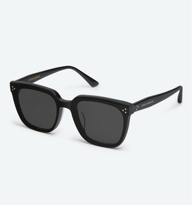 Authentic Gentle Monster 2024 ALAN 01 Black Sunglasses / Korea